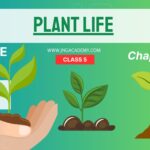 Plant Life - Parts of a Plant for Class 5