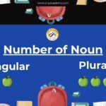 Singular and plural rules in English grammar with examples